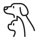Profile of a Dog and a Cat