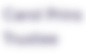 Primary Contact