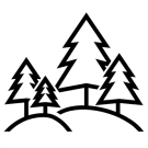 Environment